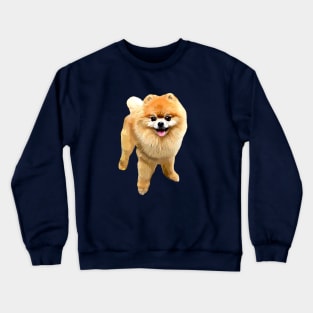 Pomeranian Dog with Style! Crewneck Sweatshirt